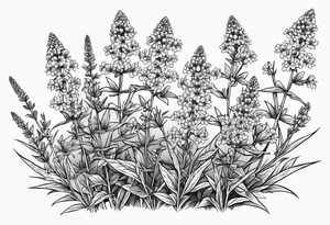 Generate a picture of Vervain (Verbena) flowers with small leaves around them. tattoo idea