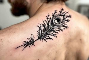 Peacock plume tattoo tattoo idea