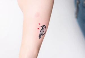 A bear, woodpecker and cardinal tattoo idea