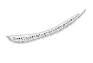 long shaman  style mytical bold line with ancient rhyme tattoo idea