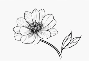 one very simple and no detailed waratha flower with stem in black and white, the few lines possible, fine-line tattoo idea