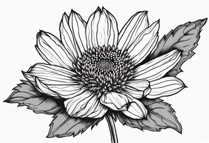 Indian blanket flower tattoo idea