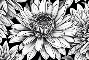 Aster flower tattoo idea