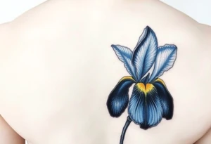 Single blue and gold Iris painted in Van Gogh style. One petal falling and one upright. Integrating Kintsugi artform. tattoo idea