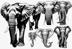 realistisc elephant tattoo idea