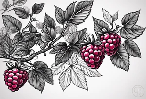 a long raspberry branch that curves to the right and focuses on line work. tattoo idea