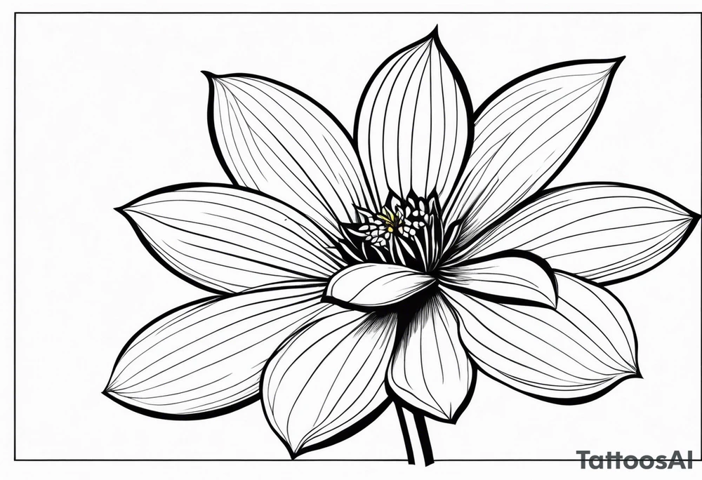 one very simple and no detailed waratha flower with stem in black and white, the few lines possible tattoo idea