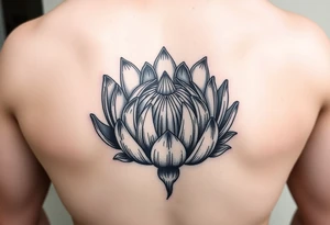 Blooming protea flower tattoo idea
