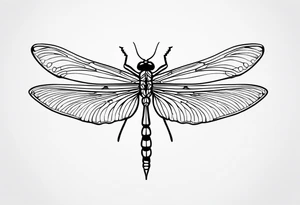 2 Dragonflies one with a lock as the chest 
and the other has a key for the tail fine black line style tattoo idea