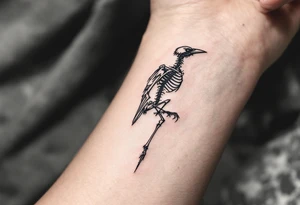 Crow Skeleton – An anatomical tattoo of a crow skeleton, done in fine line style with minimal gray shading and a soft ink wash effect. tattoo idea