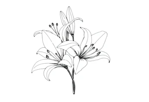 White lillies that lol like an antique etching tattoo idea