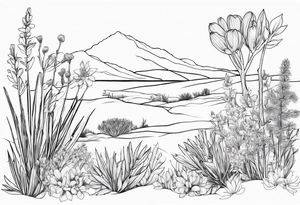 Pilbara region native plants and flowers, Kimberley region native plants and flowers tattoo idea
