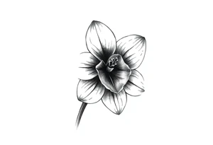 Narcissus flower on forearm tattoo idea