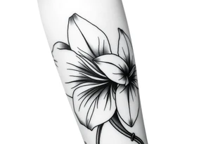 Large Gladiolus flower intwined with a Narcissus flower on the forearm skin tattoo idea