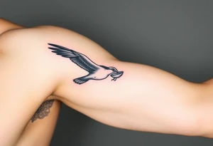 Osprey in flight with dish grasped between its talons tattoo idea