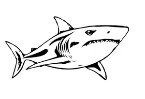 American traditional shark tattoo idea