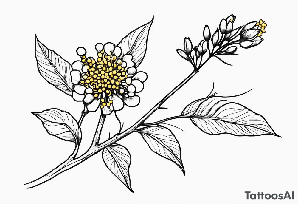 one very simple and no detailed golden wattle flower with stem in black and white, the few lines possible, fine-line tattoo idea