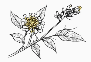 one very simple and no detailed golden wattle flower with stem in black and white, the few lines possible, fine-line tattoo idea