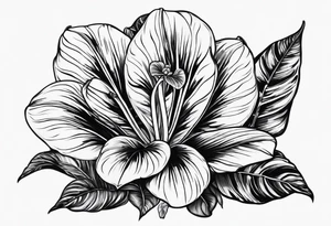Alocasia zebrina tattoo idea