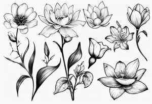 Make a tattoo with Cosmos flower, lily Of the valley, water lily, snow drop, and morning glory tattoo idea