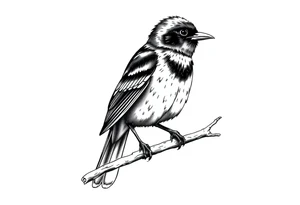 european blackbird male sitting on a branch tattoo idea