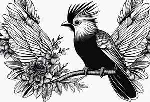Turaco bird tattoo idea