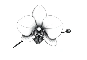 Small orchid flower tattoo idea