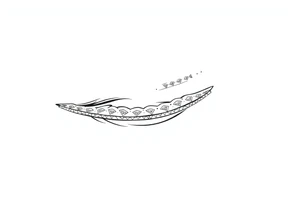 tribal pattern
and bands celtic black and white shading full sleeve simple tattoo idea