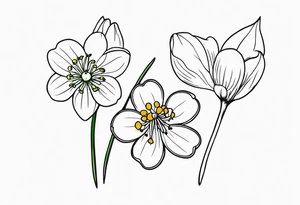 One snowdrop, One hawthorn flower, and Two honeysuckle blooms, tattoo idea