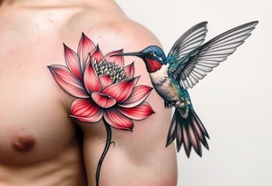 a hummingbird drinking from an egyptian lotus (red and black) tattoo idea