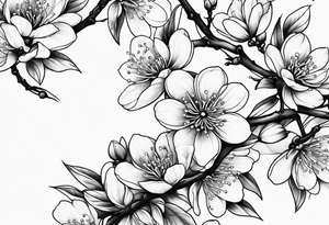 Plum blossoms tattoo idea