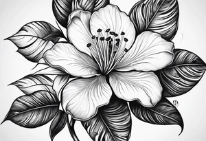Kampala uganda Flame tree flower tattoo idea