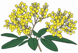 national Australian flower (waratha or the golden wattle), simple/not to detailed, placed to be able to extend a whole bouquet tattoo idea