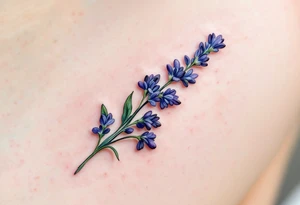 A single delicate lavender sprig in soft purple and green, with fine watercolor shading for a natural, airy look. tattoo idea