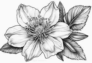 Columbine flower tattoo idea