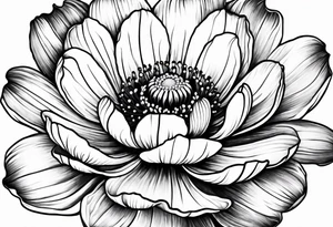 Cosmos flower tattoo idea