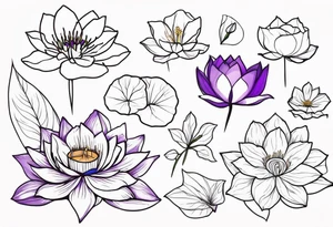 waterlilly, violet, rose, morning glory flowers tattoo idea