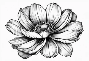 cosmos flower tattoo idea