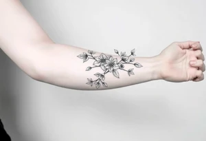 starting from a band mid forearm,  sleeve of narcissus flowers and holly flowers going up the arm tattoo idea