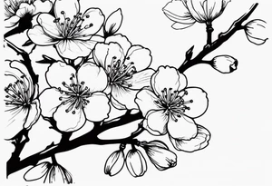 Cherry Blossom tattoo idea