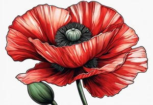 Red poppy flower with long stem tattoo idea