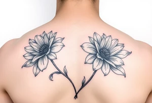 Mimosa flowers tattoo idea