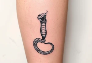 snake for a lower leg thats feminine simple but still distinctive tattoo idea