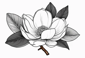 Magnolia with long stew, leaves and finelines around tattoo idea