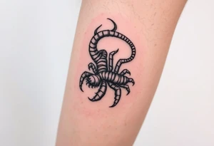 a creepy blackwork centipede tattoo on the inner calf tattoo idea