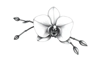 orchid with leavs tattoo idea