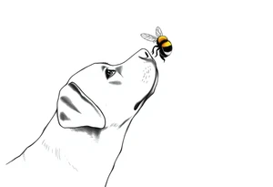 brown lab looking up at a bumble bee like it’s almost about to sniff it but they’re not touching. all black ink and fine line. tattoo idea