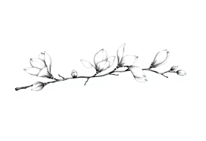 Magnolia branch long with different half opened flowers, botanical details tattoo idea