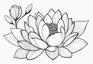 Thin line lotus dogwood lily of the valley and peony tattoo idea