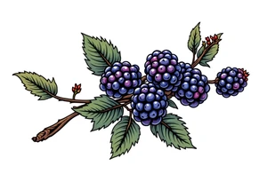 American traditional style Blackberry branch in a line to wrap around an arm tattoo idea
